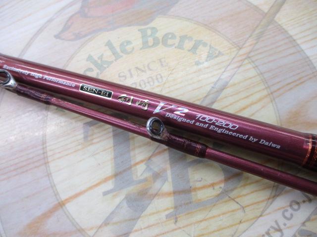 ダイワ(Daiwa) SEN-EI 先鋭剣崎V2 120号-270 05289154