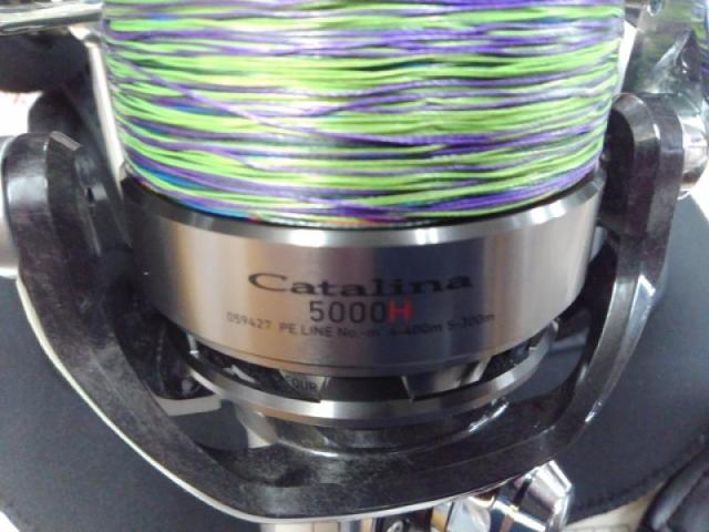 12キャタリナ5000整備その① | reelmaintenance-higarageのブログ