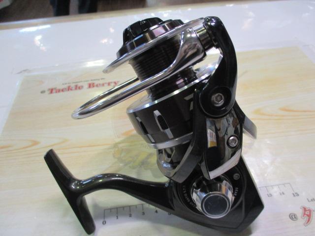 16キャタリナ 5000H