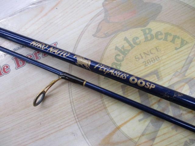 ヒロナイトウ ペガサス 66SP