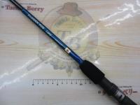 パッションPGOロング