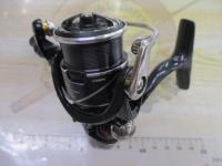 20月下美人X LT1000S-P