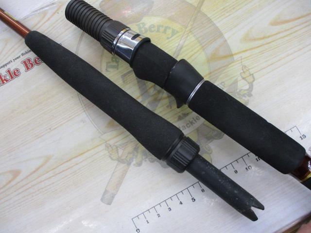 リーディング-XV イカタン 165