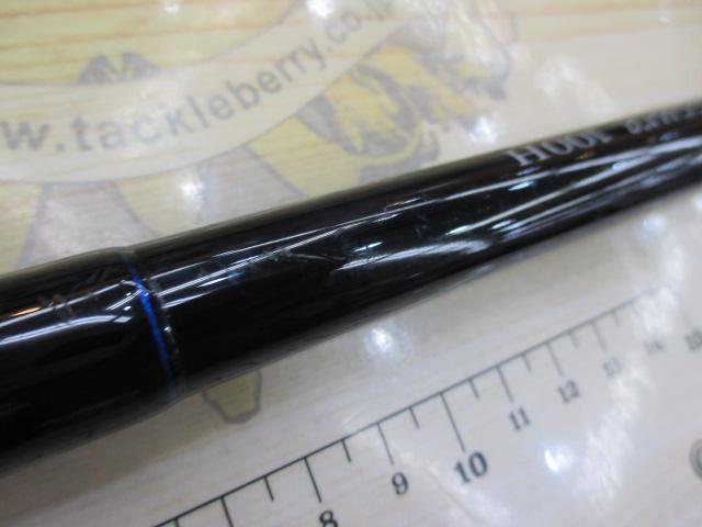 デフィーミュートス DMアキュラ 100H (RGモデル/RV)