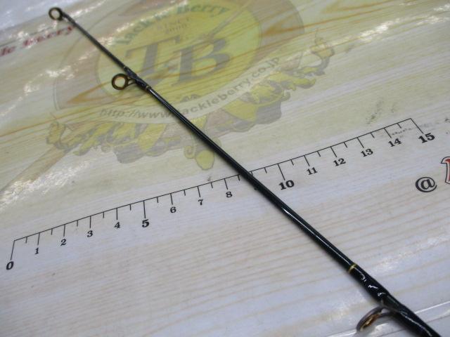 インスパイア ICSC-66MH.TG