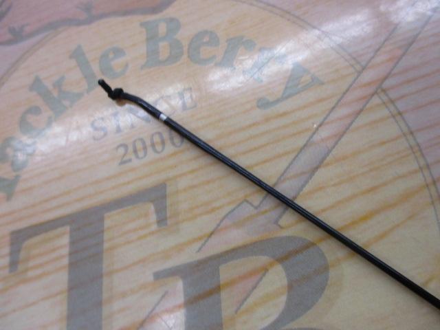 普天元 獅子吼 15