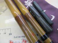 普天元 獅子吼 15