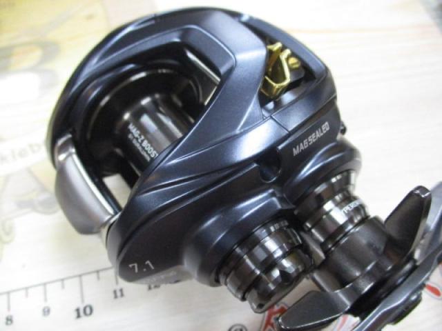 スティーズAⅡ TW 1000H Amazon | ダイワ(DAIWA) ベイトリール STEEZ(スティーズ) AII TW