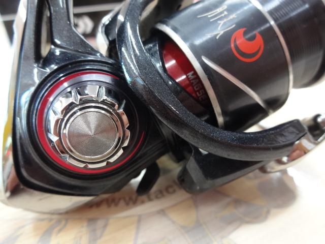 20月下美人X LT2000S