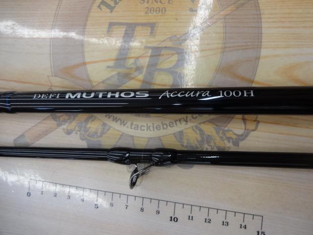 デフィーミュートス DMアキュラ 100H (RGモデル/RV)