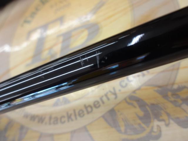 デフィーミュートス DMアキュラ 100H (RGモデル/RV)