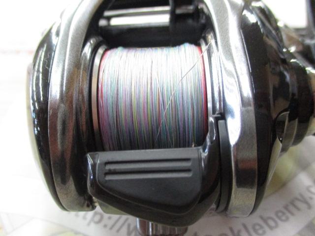 炎月１００PGS美品 楽天市場】炎月 100pgの通販
