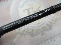 21ポイズングロリアス 170H