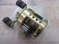 カルカッタ 100XT