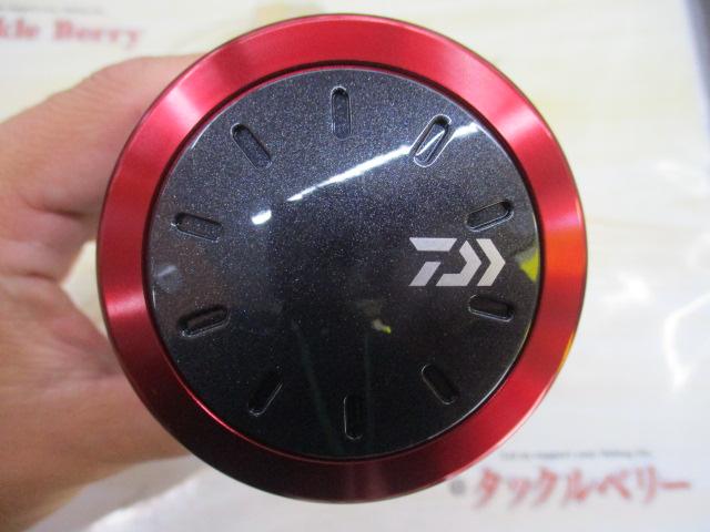 17ダイナスター 250