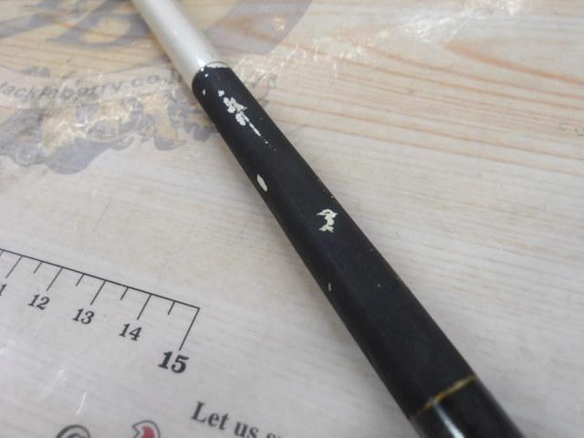 CWPMイカ 乗調子240