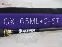 グラディエーターマキシマム GX-65ML+C-ST マックスライト