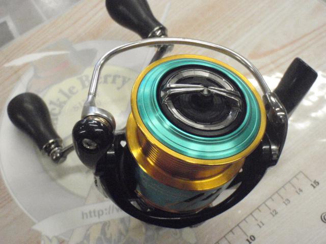 エメラルダス　MX 2508 PE DH 20241016101107_25_1.jpg