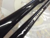 ポイズンアルティマ 172H(SIC)