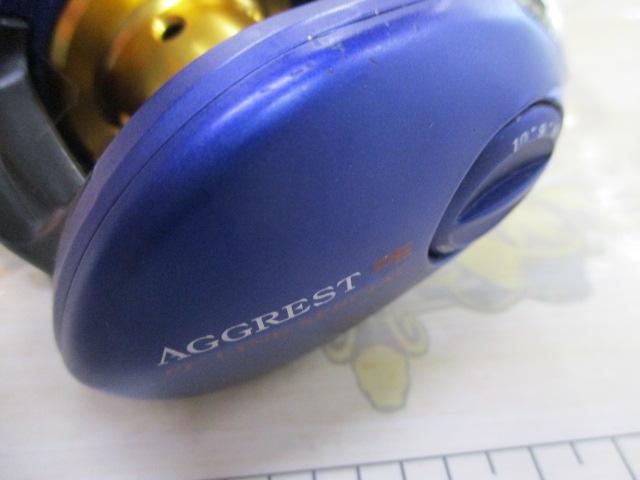 ダイワ　アグレスト　PEスペシャル　100H マットブルー　AGGREST ぽけバス:アグレスト PEスペシャル