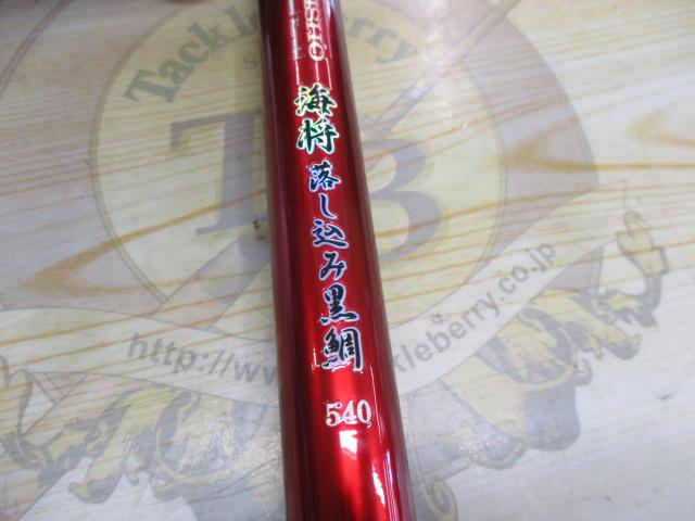 CB海将落とし込み黒鯛540