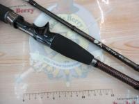 夢人イカづくしマル150M