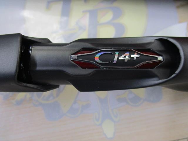 21セフィアエクスチューンメタルスッテ B511UK-GS(SICガイド