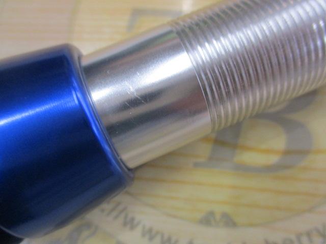 GF235Seriola lalamdi