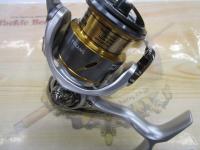 21フリームス LT2500