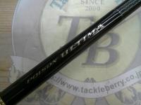 22ポイズンアルティマ 170MH