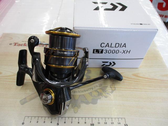 カルディアLT 3000 XH 美品 カルディアLT 3000 XH 美品 - メルカリ