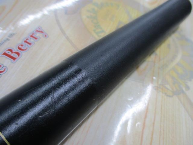 がま鮎激流スペシャル 100