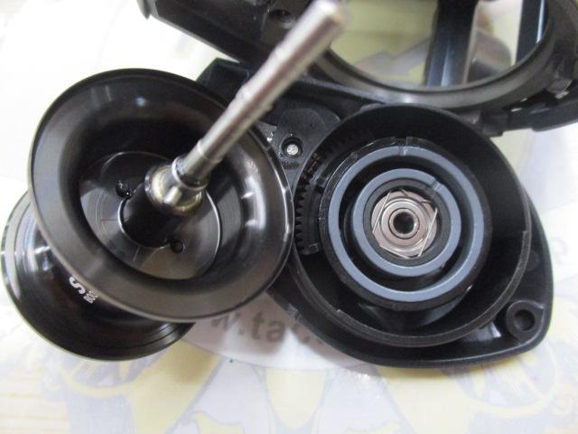 25タトゥーラ SV TW 100XH