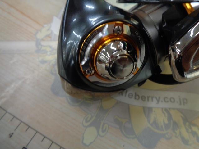 13セルテート 2508PE