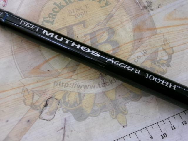 デフィーミュートス DMアキュラ 100HH (RGモデル/RV)