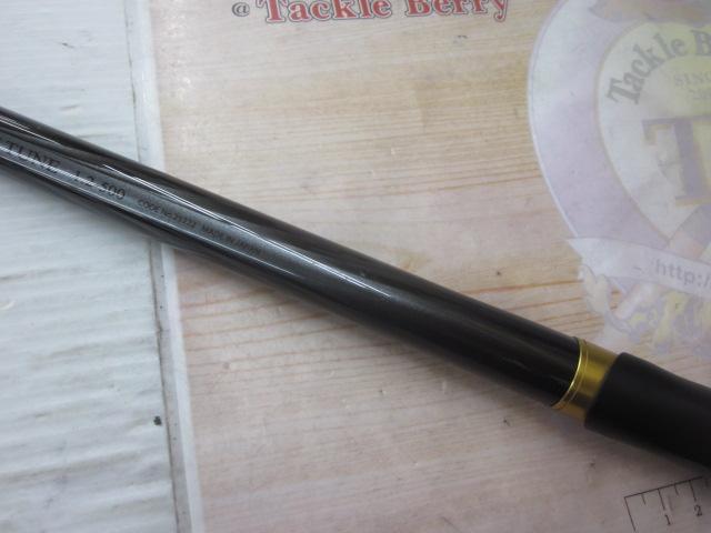 マスターチューン磯 1.2-500