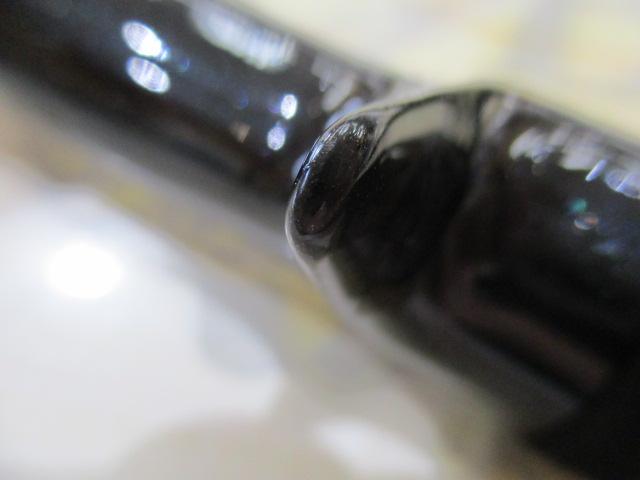 19グラップラータイプLJ B63-1