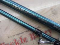青龍竿 300Ⅱ
