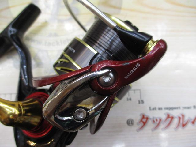 14月下美人 2504H 14 月下美人 2504H 14月下美人 2504H | イシグロ公式オンライン