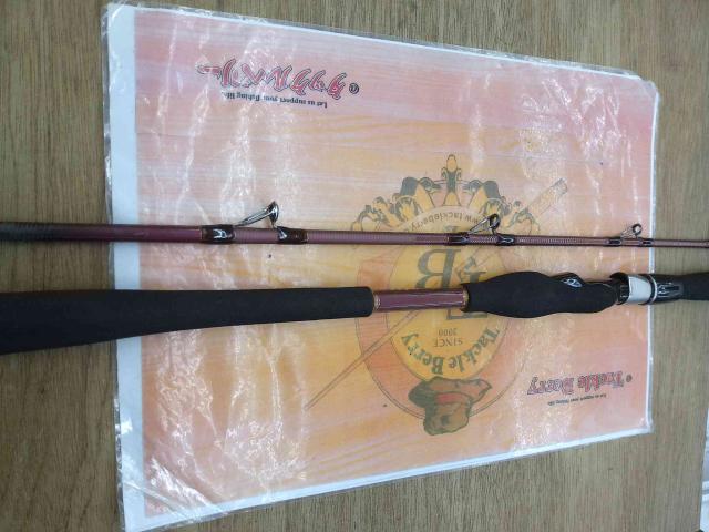 先鋭剣崎V2 120-170