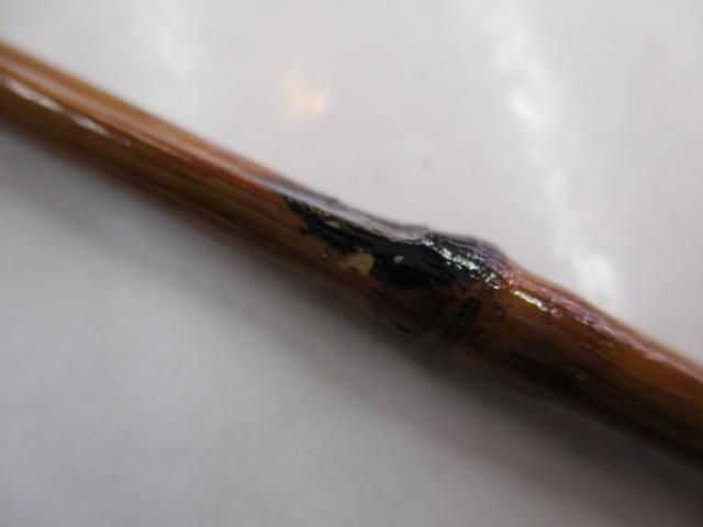 京作(100cm1本継)竿入れ付