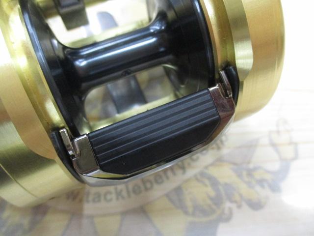 カルカッタコンクエストMD 401XGLH DSC02702-scaled.jpg