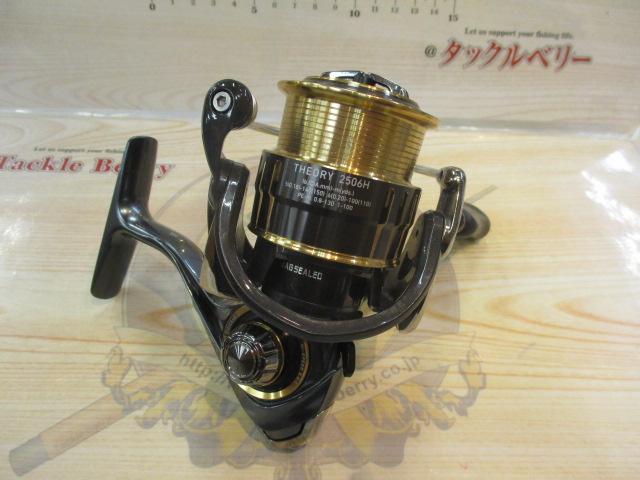 17セオリー 2506H