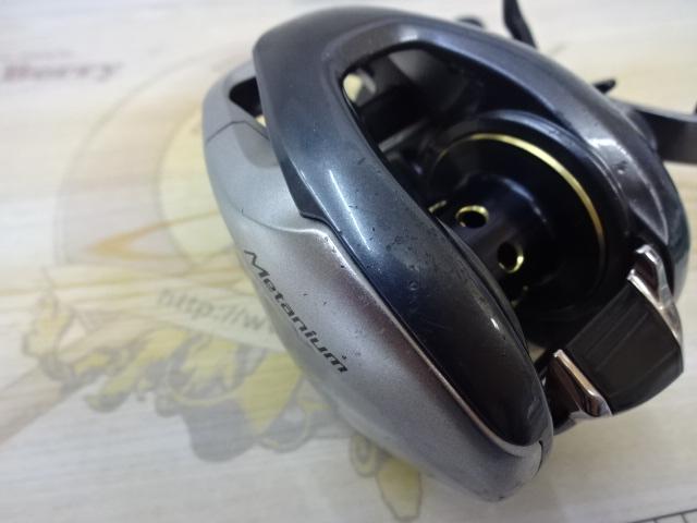 13メタニウム (RH)