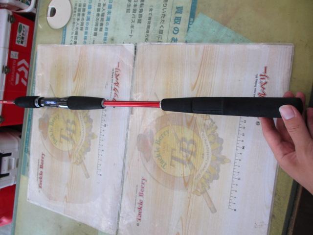 リーダーズエッジパラボライト221R