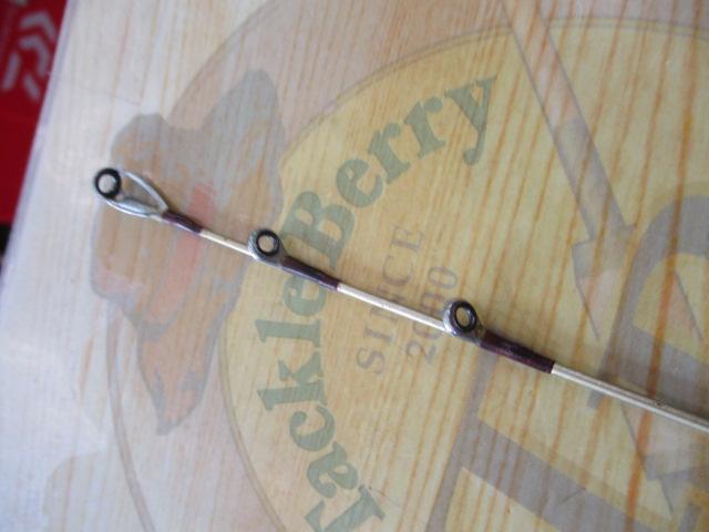 リーダーズエッジパラボライト221R