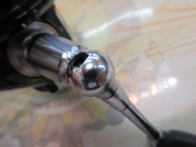 インフィート月下美人 2004