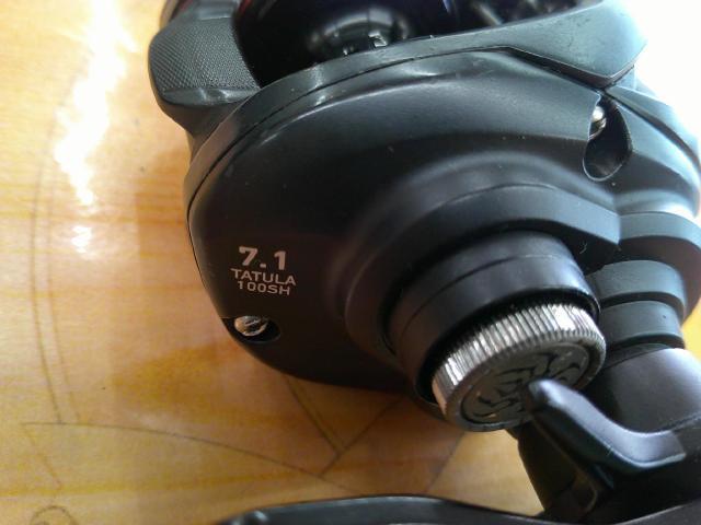 タトゥーラ TW 100SH