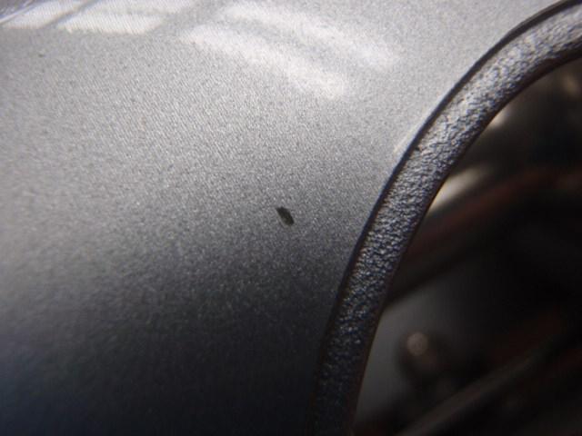 プロマックス5600 シルバー