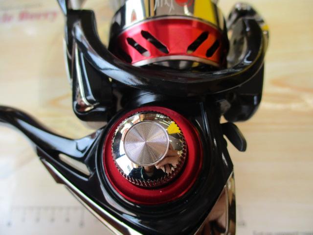 16月下美人 MX2004DH